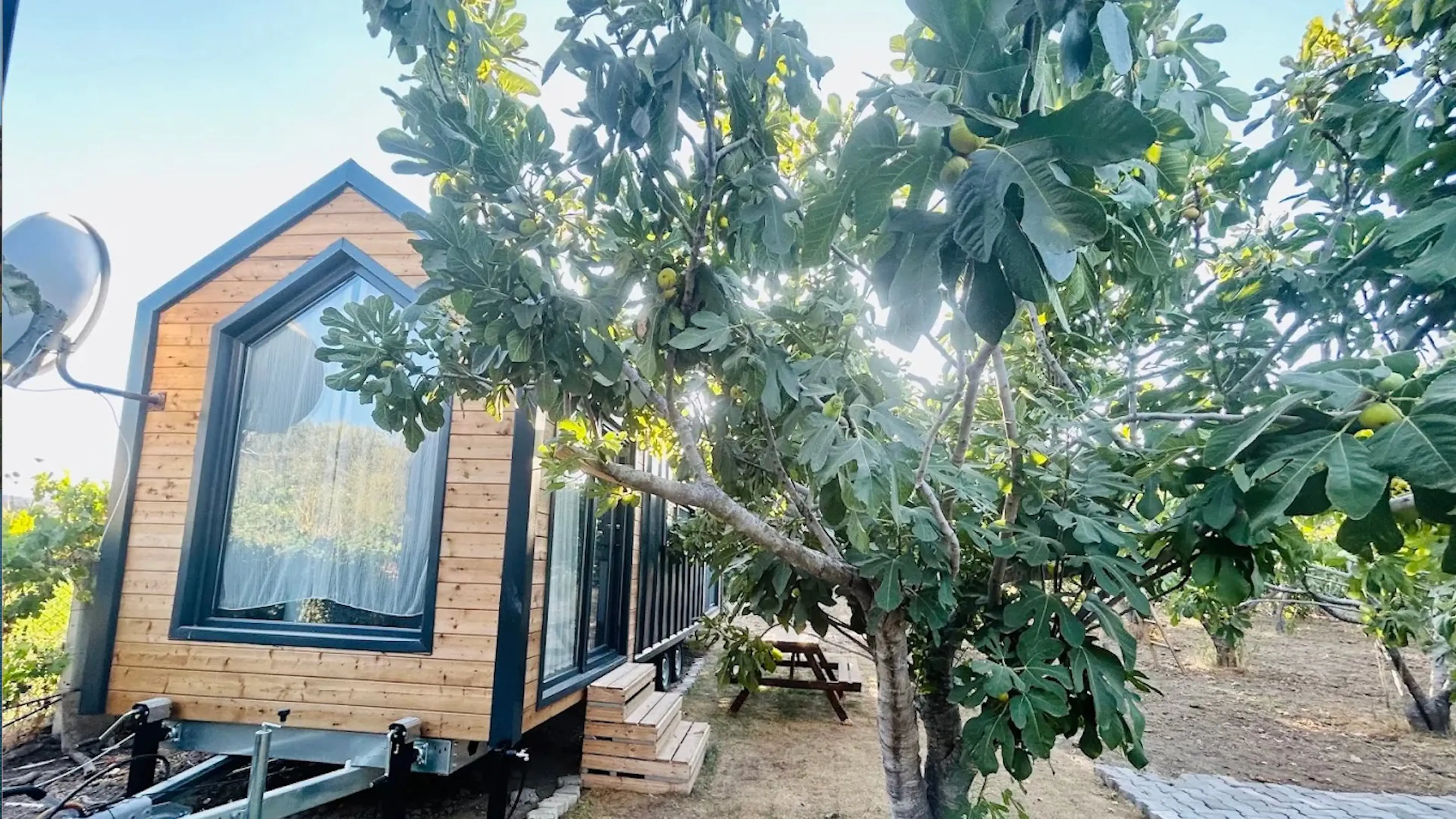 Dikili ZeyTiny House