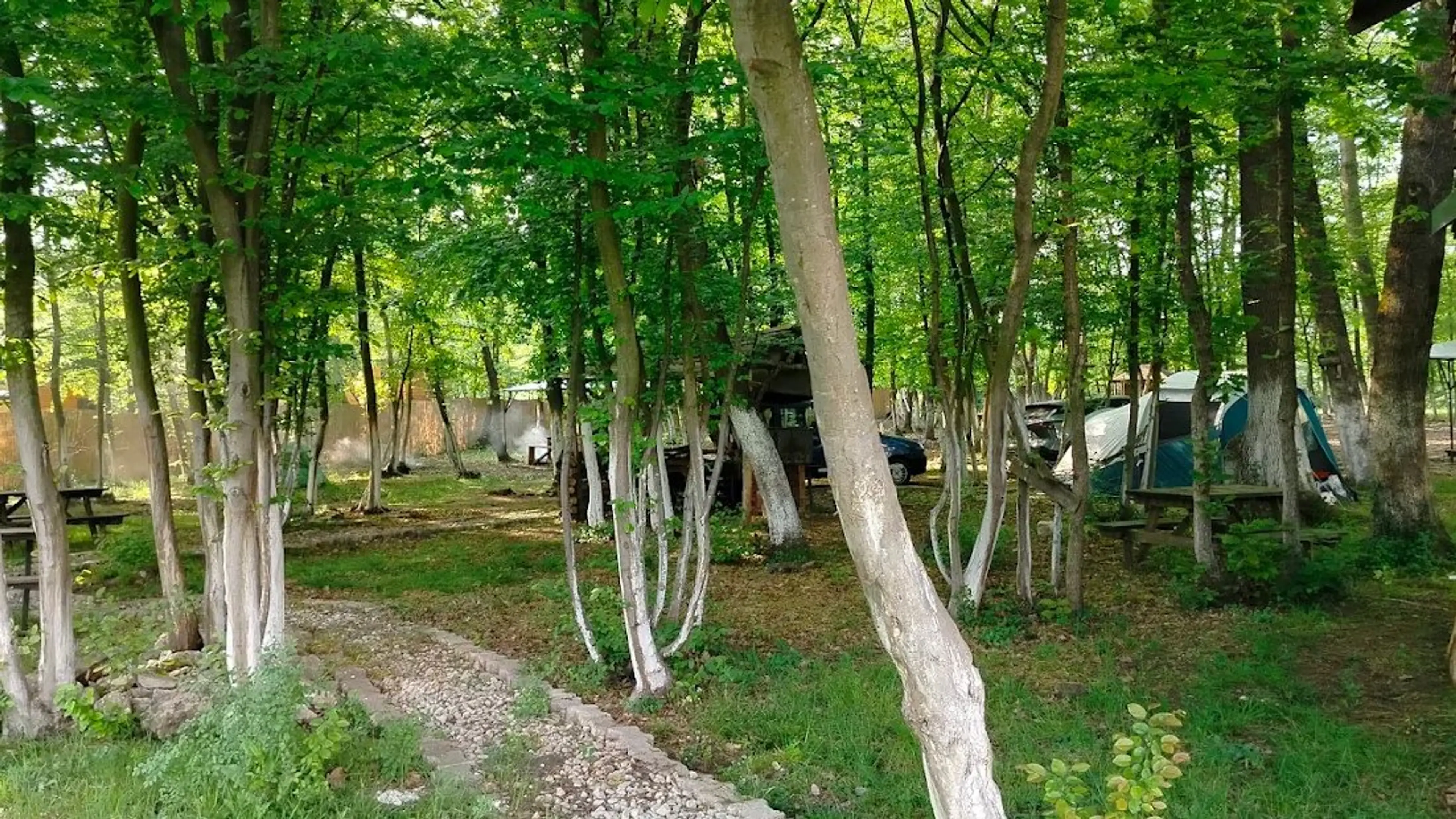 Patika camping