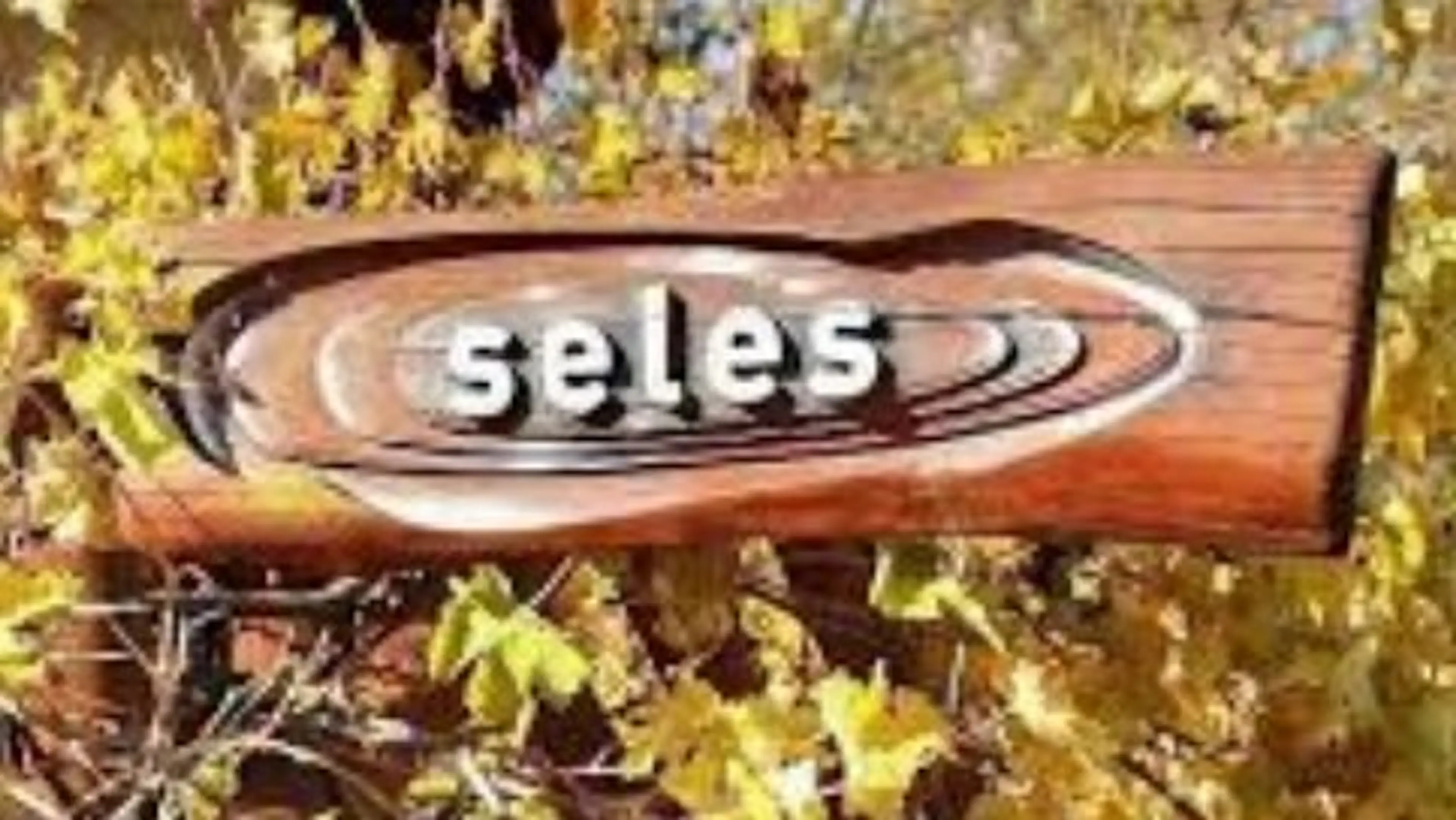 Seles Camping