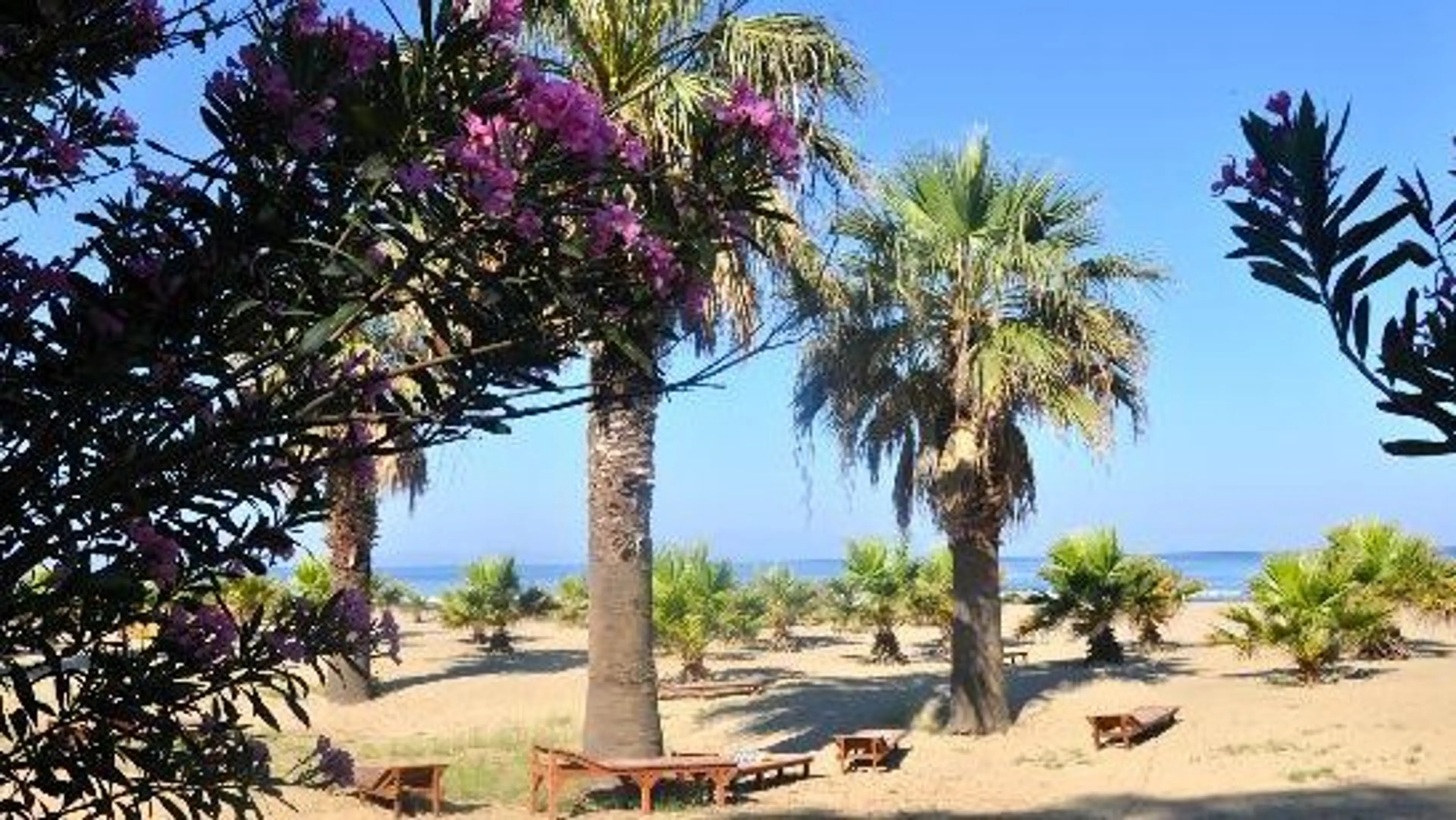 Dereli Motel Ve Kamping