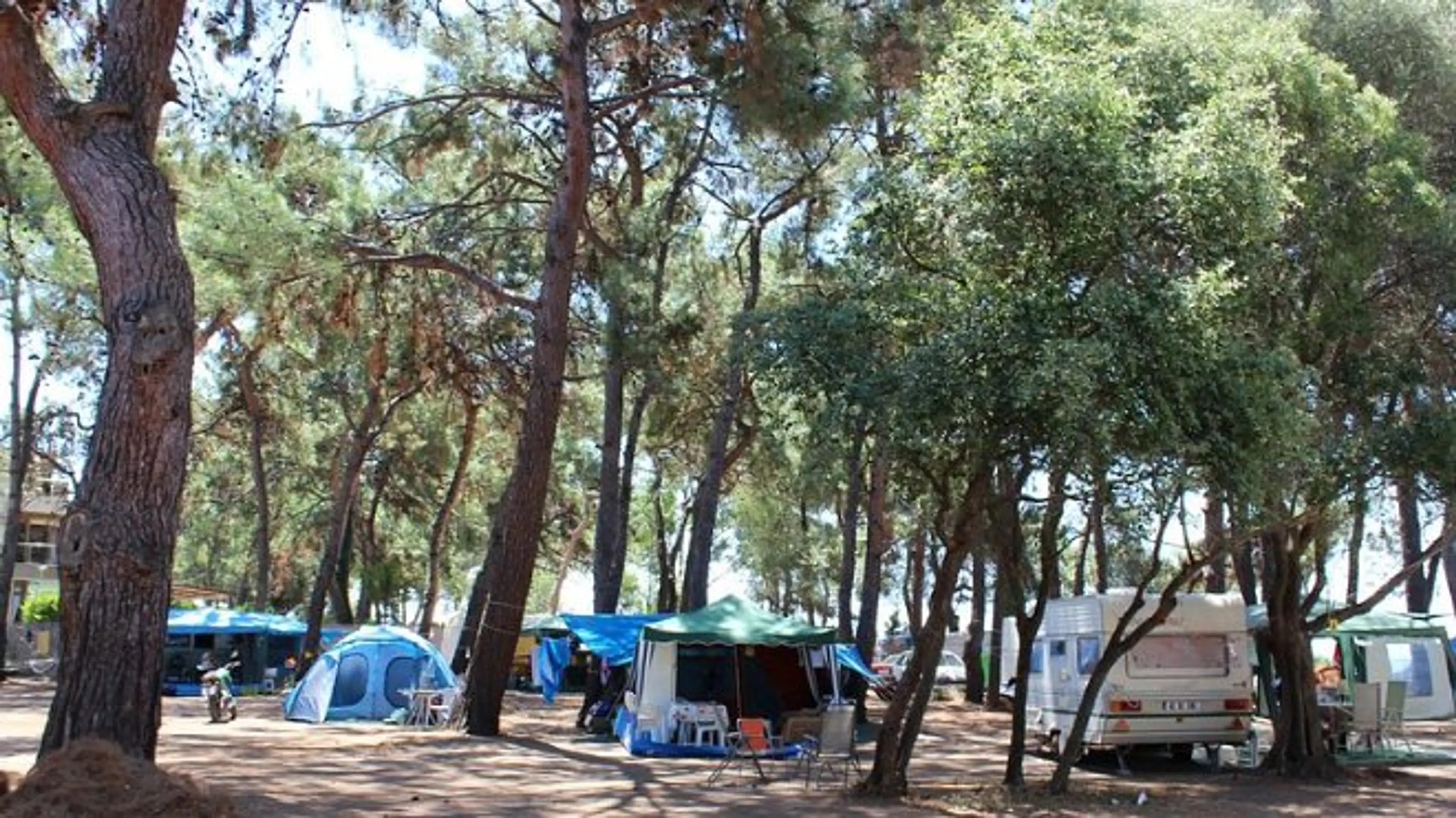 Hipo Camp