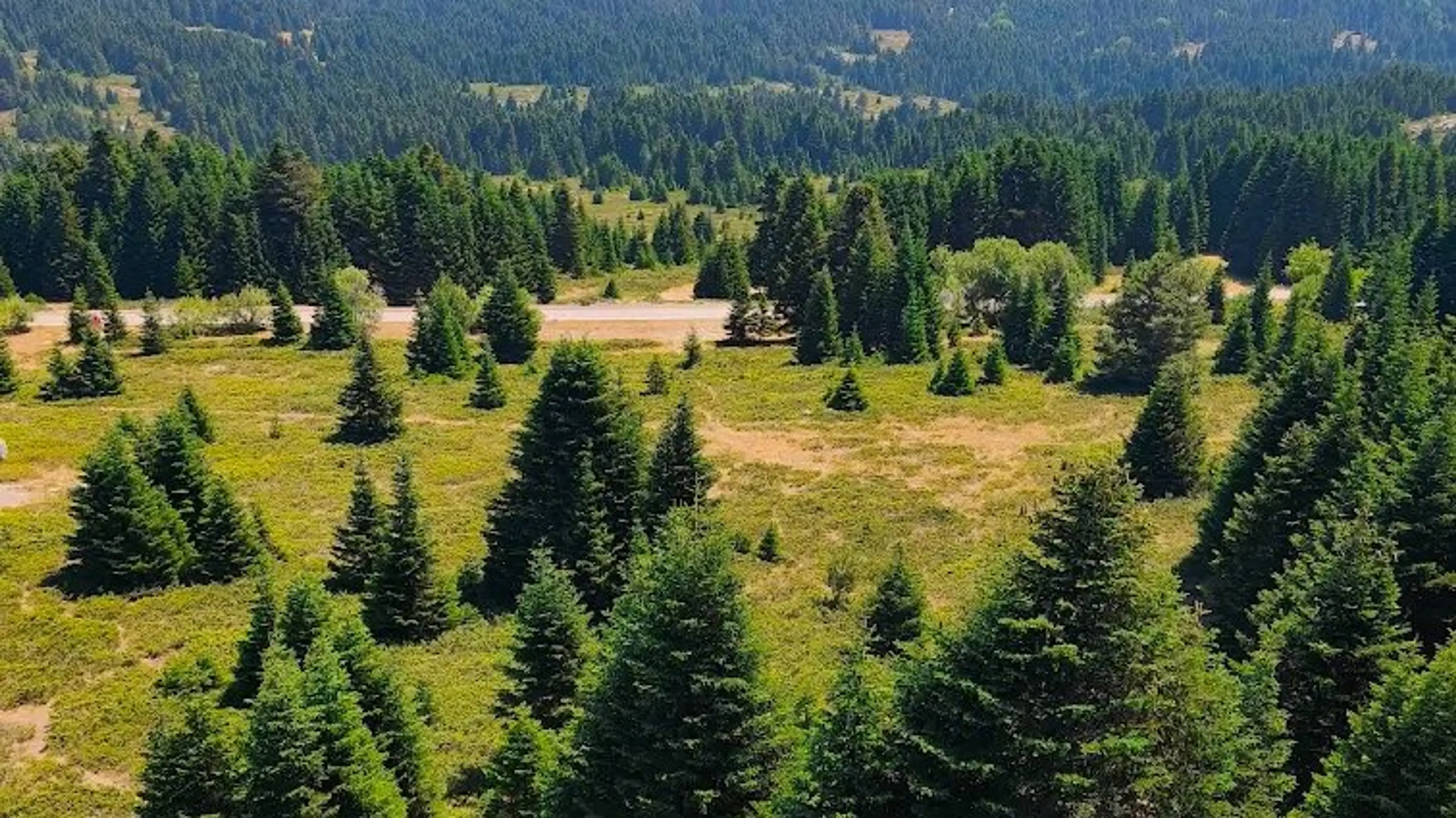 Uludağ Kamp Alanı